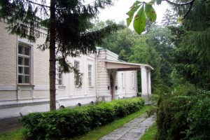 Усадьба Энгельгардта, Будища